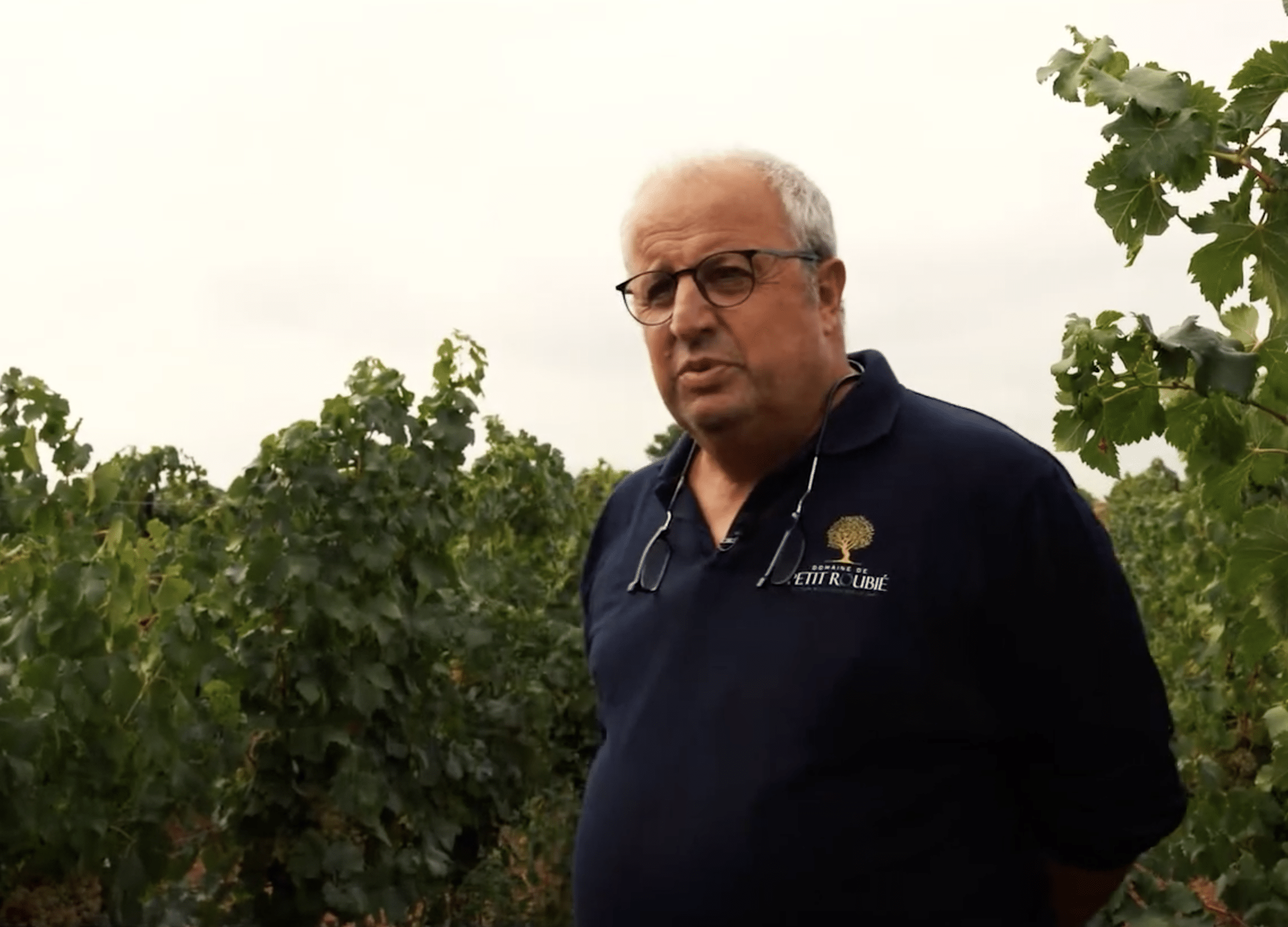 Saint Peyre Picpoul De Pinet (6 X 750ml) French White Wine - Fine Wine Sellers - Www